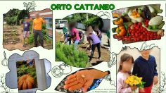 ORTO DIDATTICO CATTANEO